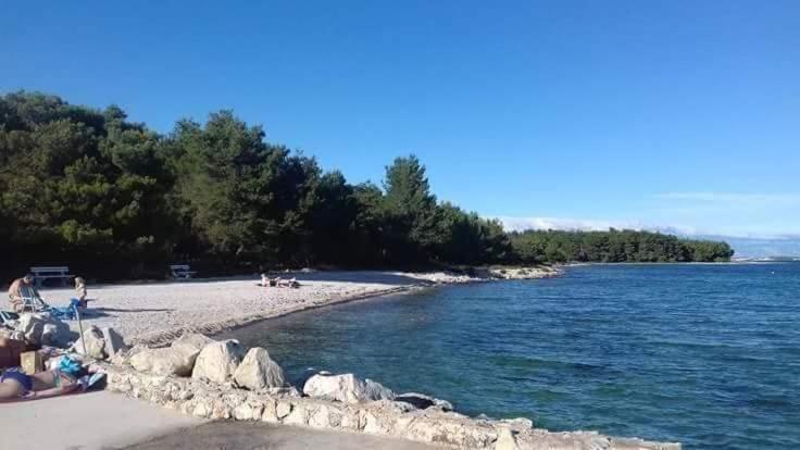 Leo Daire Vir Dış mekan fotoğraf