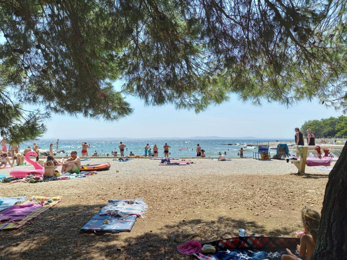 Leo Daire Vir Dış mekan fotoğraf